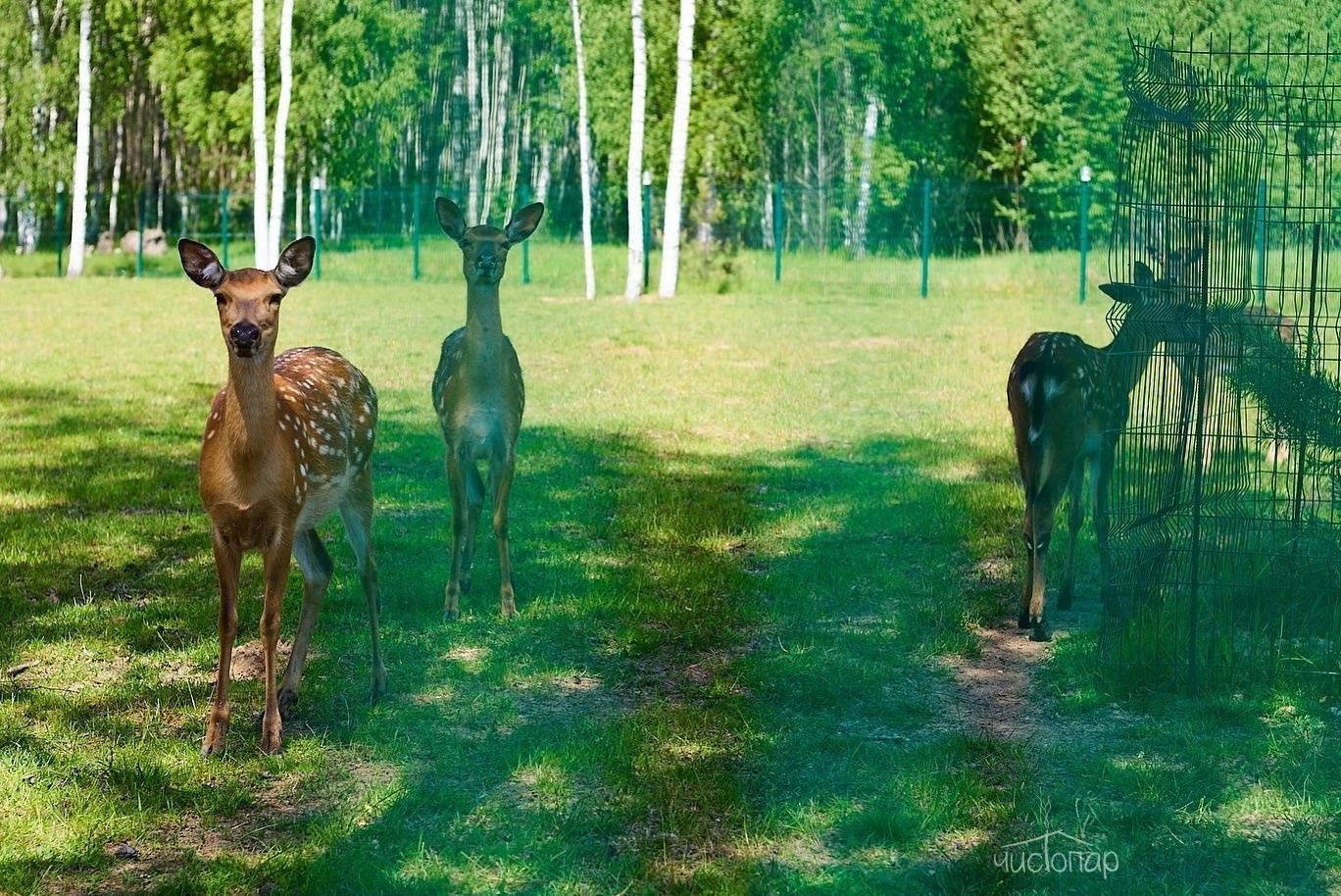 Эко-отель  «Панорама»