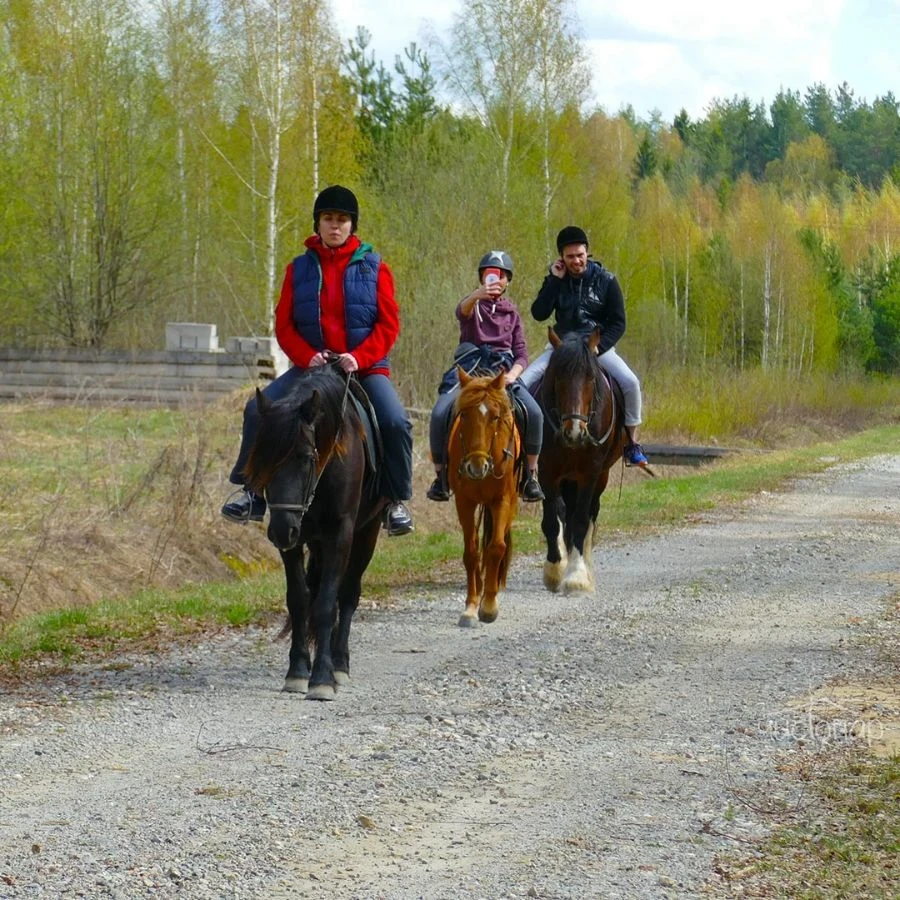 Эко-отель  «Панорама»