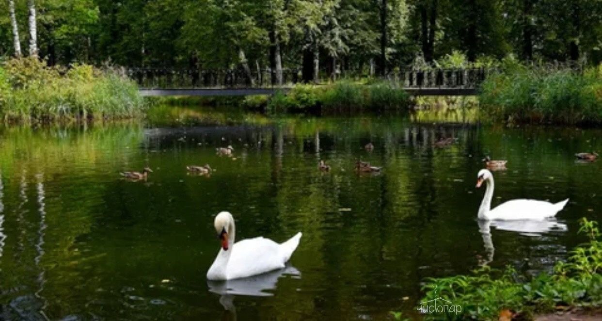 Глэмпинг «Любимый в Любаново»