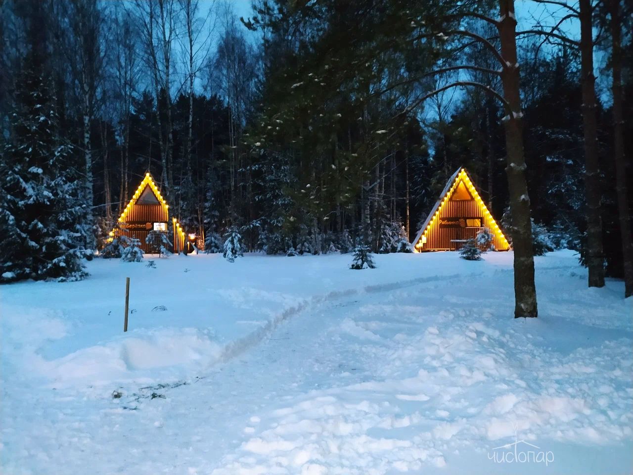 Глэмпинг «Под кронами»