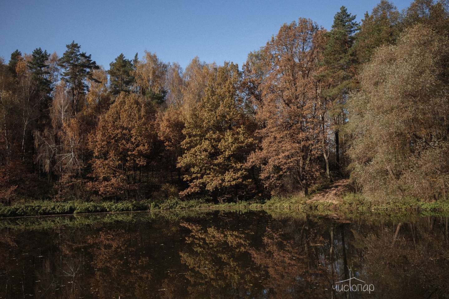 Глэмпинг «Желуди»