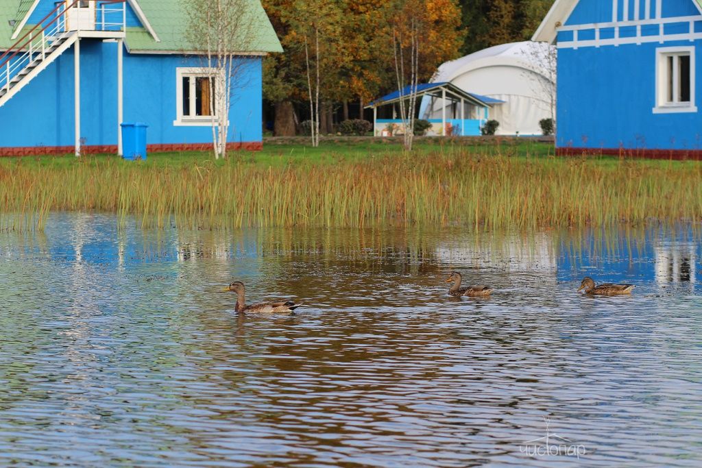 Парк-отель Торбеево озеро